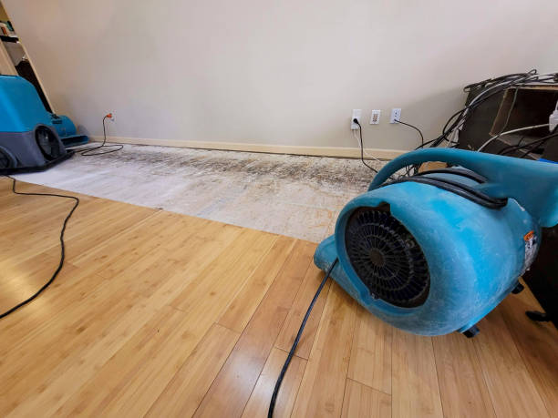 Professional Structural Drying technician working in Blair, NE